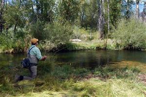 Colorado Brown Trout Fishing - Teller County Colorado Outdoor ...